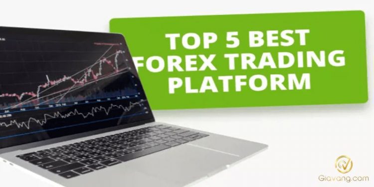 Bật mí top 5 nền tảng Forex hàng đầu hiện nay trader nhất định không nên bỏ lỡ